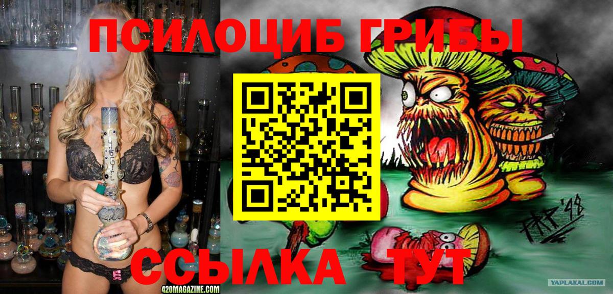 Галлюциногенные грибы Magic Shrooms  Вход с VPN  наркотики  Псилоцибиновые грибы прущие грибы  Елизово 