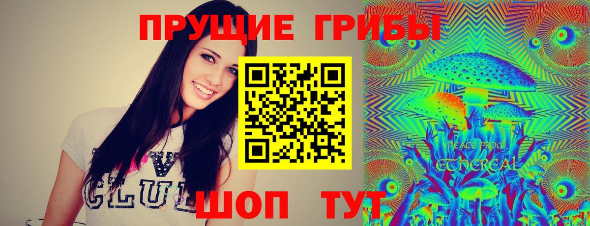 Псилоцибиновые грибы мицелий Елизово